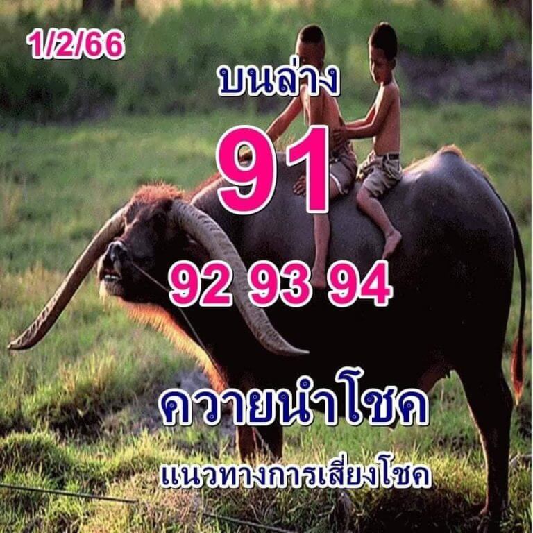 หวยควายนำโชค